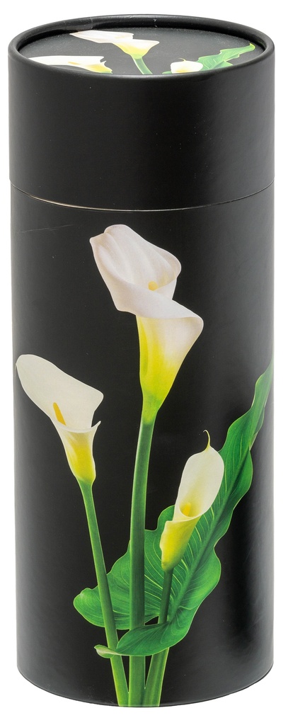 Lily Large Scattering Tube